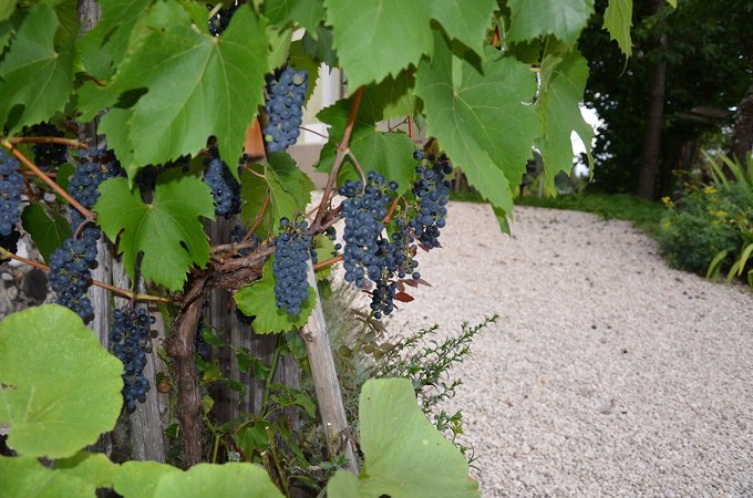 1. Agrarkreissitzung